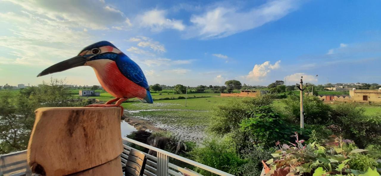Ibishouse Farm Stay Bharatpur Kültér fotó