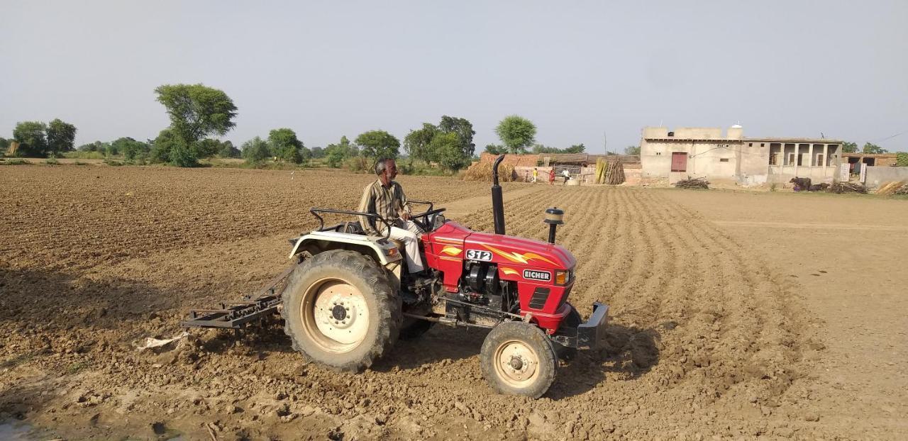 Ibishouse Farm Stay Bharatpur Kültér fotó