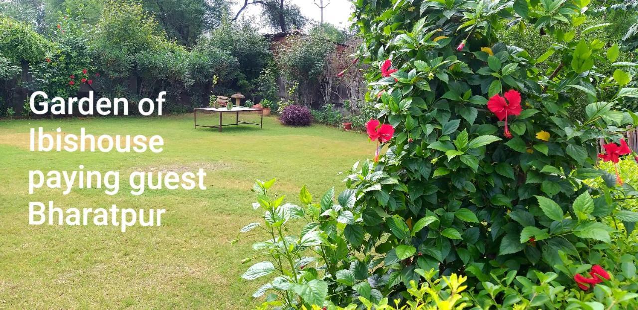Ibishouse Farm Stay Bharatpur Kültér fotó