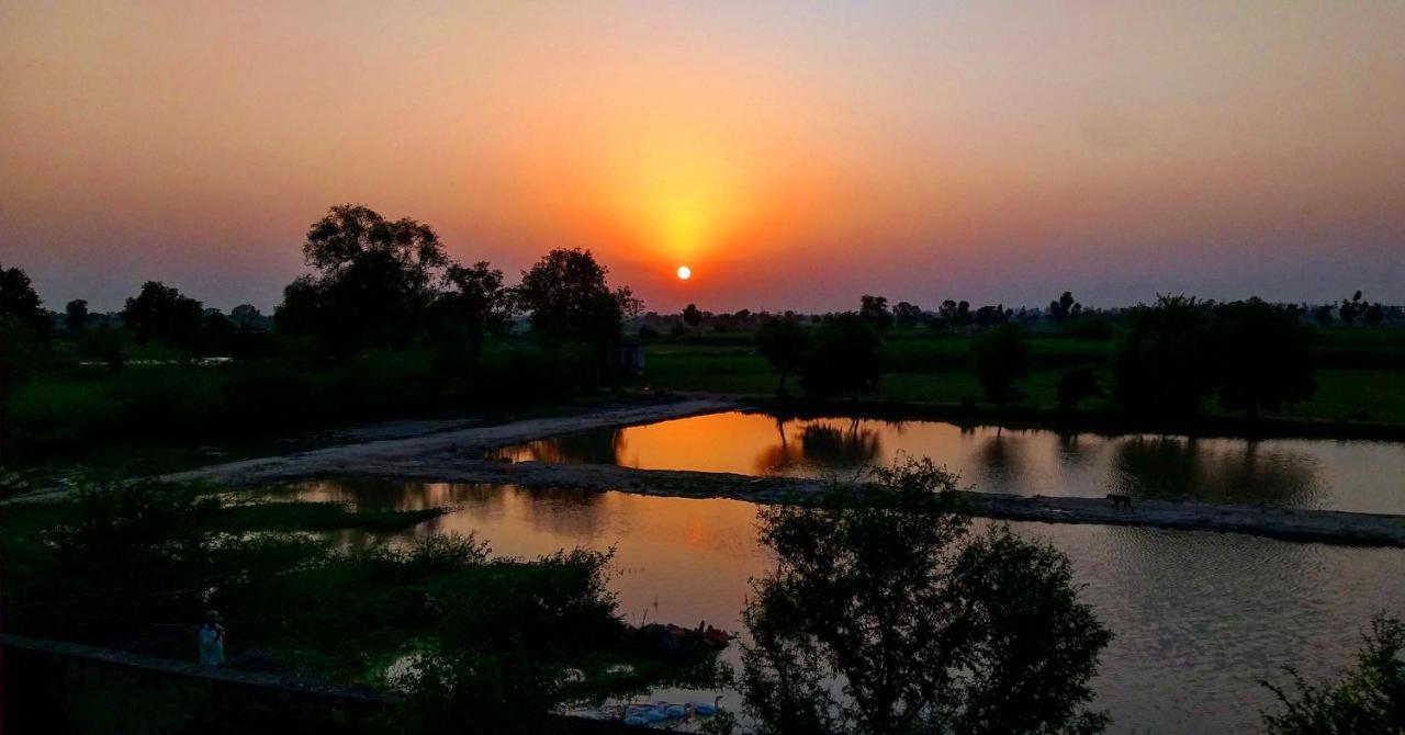Ibishouse Farm Stay Bharatpur Kültér fotó