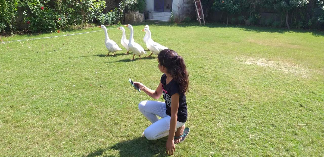 Ibishouse Farm Stay Bharatpur Kültér fotó