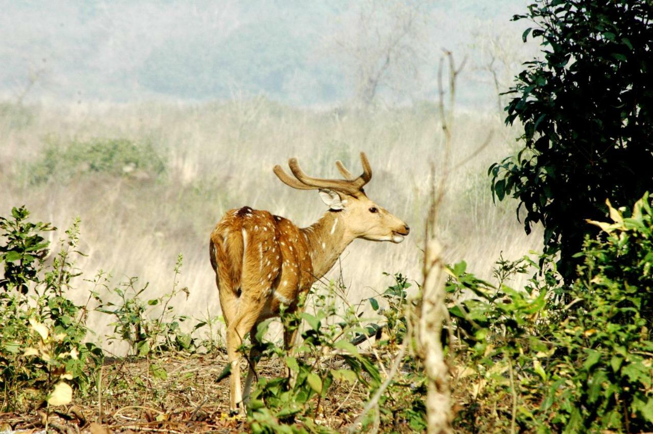 Ibishouse Farm Stay Bharatpur Kültér fotó